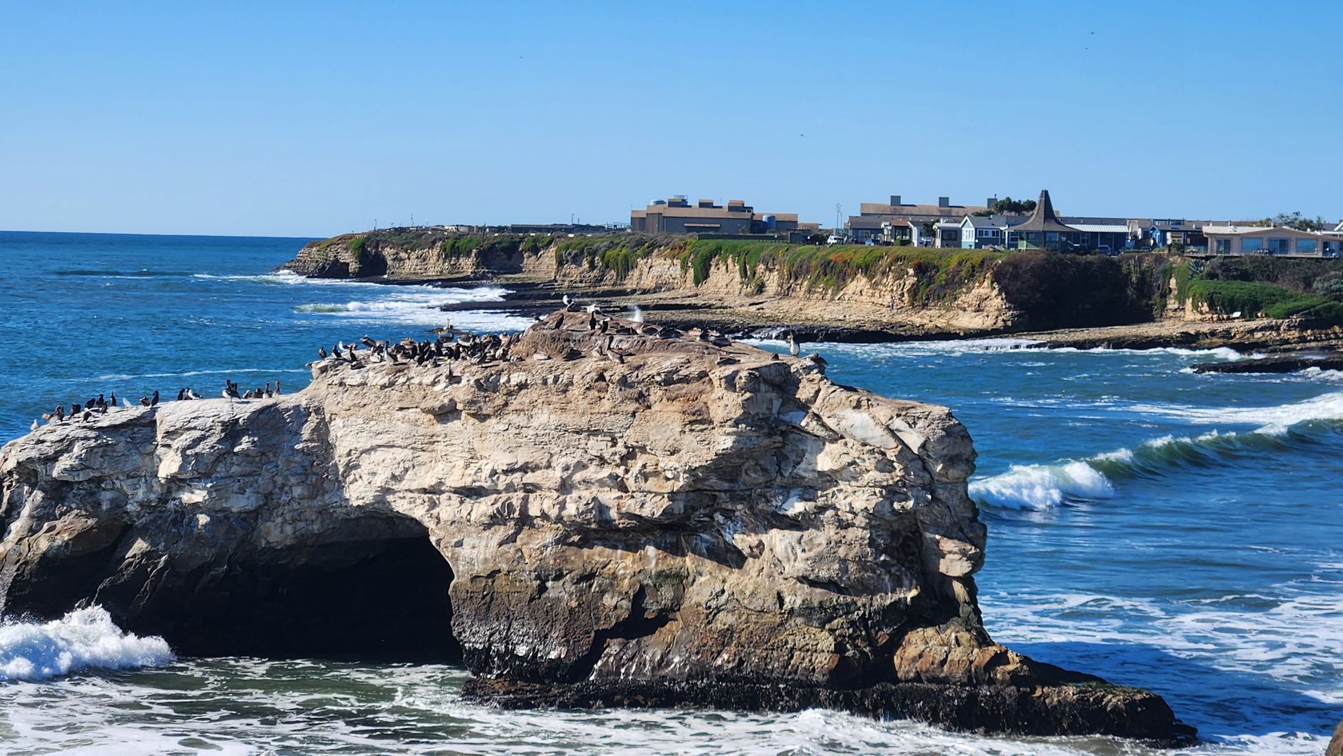 Life coach in Santa Cruz